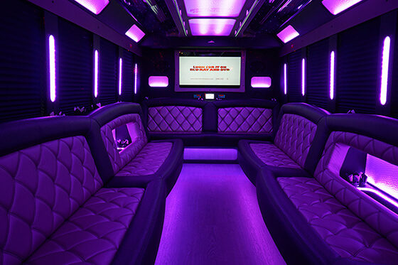 party bus seating for 30 passengers