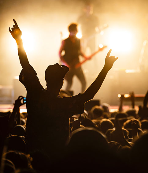 people in a concert